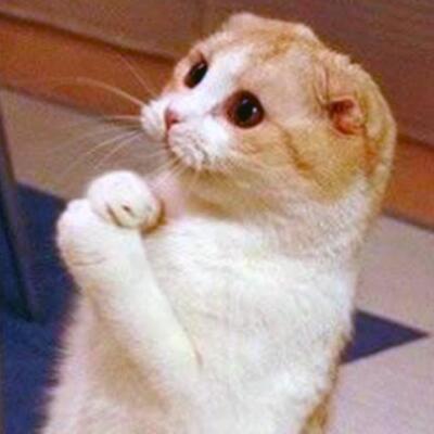 judi slot online terbaik&thinsp;