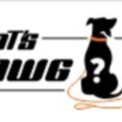 Best Language Learning Apps 2022&thinsp;