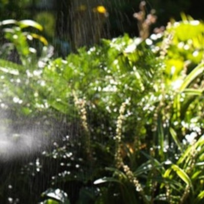 Mosquito Misters Systems&thinsp;