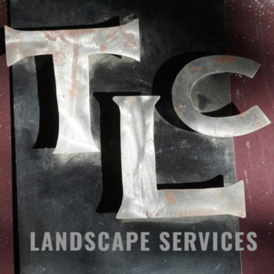 TLC lanscape&thinsp;