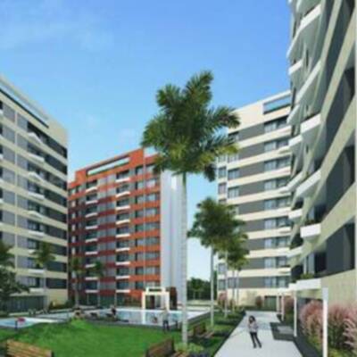 Prestige Evergreen&thinsp;