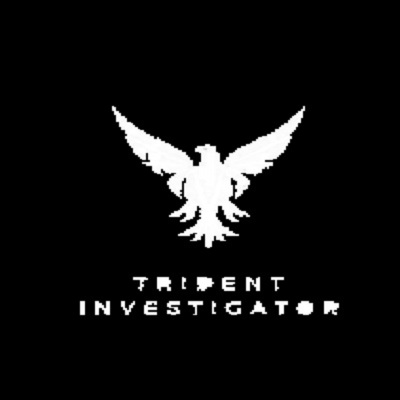 tridentglobalhub hub 