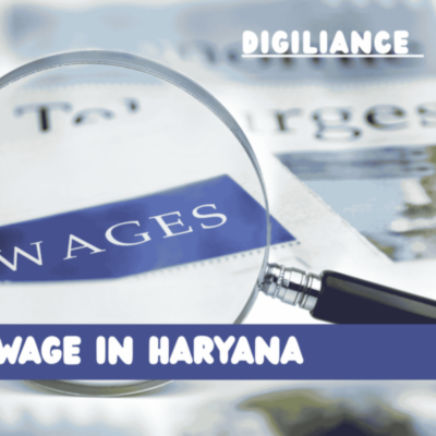 Digiliance hook&thinsp;