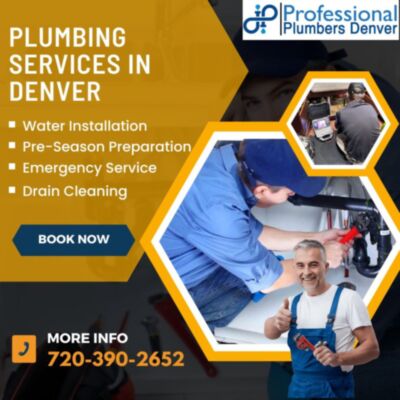 professional plumbers 