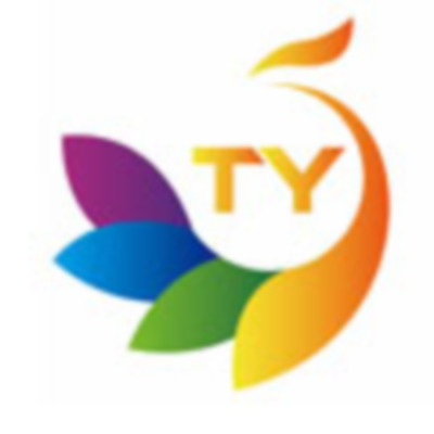  Tanyu Wall Printer&thinsp;