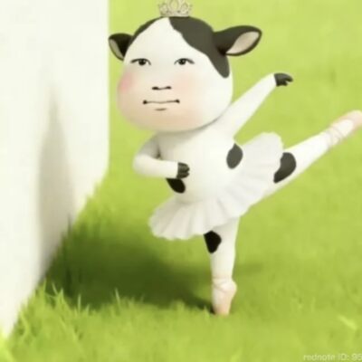 bajaf24889 bajaf24889&thinsp;