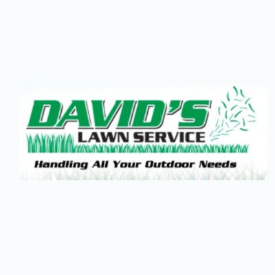 David's Lawn Service&thinsp;