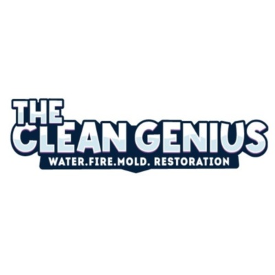 The Clean Genius&thinsp;